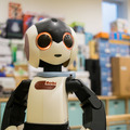 robi-02
