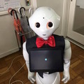 Pepper向けの洋服などを作っている川内さんにお話を聞いてみました