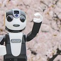 <p>シェア 0 ツイート 0 はてブ 0</p>