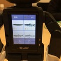 【RoBoHoN】ロボホンの首が折れちゃったので、修理に出してみた+バックアップを勝手に復元してみた(後編)