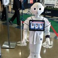 <p>シェア 0 ツイート 0 はてブ 0</p>