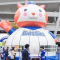 Pepperレンタル実績は150超、アプリ開発やイベント運用を提案する西尾レントオールに聞く