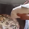 中国の「刀削麺ロボ」誕生！ 正確で速いけど・・・顔いらなくね？