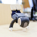 【ロボホン】1周年記念ロボホン専用スーツを着せてみた! 服を着たまま逆立ちも出来る