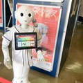 ロボットのユーザー体験を最大化する方法とは? 埼玉西武ライオンズ導入「モノマネPepper」開発のアイネスに学ぶ