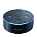 たくさんあって迷っちゃう！「Google Home」「Amazon Echoシリーズ」、日本で販売されたらどれを買う？