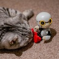 【レビュー】トヨタのロボット「KIROBO mini(キロボミニ)」とネコを遊ばせてみた！