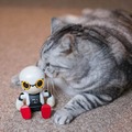 【レビュー】トヨタのロボット「KIROBO mini(キロボミニ)」とネコを遊ばせてみた！