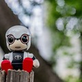 【レビュー】トヨタのロボット「KIROBO mini(キロボミニ)」と散歩行ってきた!