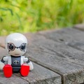【レビュー】トヨタのロボット「KIROBO mini(キロボミニ)」と散歩行ってきた!