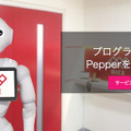 「仕事中に無駄話をするくらいの方がPepperらしくていい」アトリエサテライト札幌を開設するダイス社長に聞く