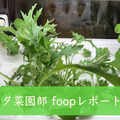 <p>シェア 0 ツイート 0 はてブ 0</p>