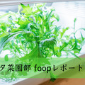 <p>シェア 0 ツイート 0 はてブ 0</p>