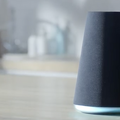 ソニーが「Googleアシスタント」連携の生活防水AIスマートスピーカー発表! 巨大市場を牛耳る音声アシスタントの可能性