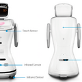 中国のコミュニケーションロボット「Sanbot」シリーズ、3機種を一挙ご紹介。日本でも売れる？