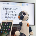 NTTとトヨタがロボットで連携！会話ロボットと生活支援ロボットの協働による接客サービスをデモ展示