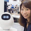 <p>シェア 0 ツイート 0 はてブ 0</p>