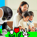 <p>シェア 0 ツイート 0 はてブ 0</p>