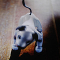 【速報】ついにソニーが犬型ロボット「AIBO（アイボ）」の最新モデルを発表！ 発売は来年1月11日、価格は19万8千円