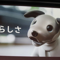 ソニーが本日発表した「進化したaibo（アイボ）」、その詳細が判明。SIMカードが標準搭載、22軸のアクチュエータ
