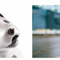 ソニーが本日発表した「進化したaibo（アイボ）」、その詳細が判明。SIMカードが標準搭載、22軸のアクチュエータ