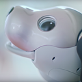 本日予約開始のソニーの新型「aibo」、可愛さあふれる公式動画が公開