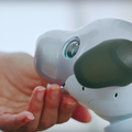 本日予約開始のソニーの新型「aibo」、可愛さあふれる公式動画が公開