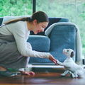 本日予約開始のソニーの新型「aibo」、可愛さあふれる公式動画が公開