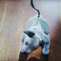 本日予約開始のソニーの新型「aibo」、可愛さあふれる公式動画が公開