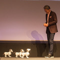 【フォトレポート】ソニーの新型「aibo(アイボ)」の写真をたっぷり見せます!