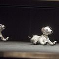 【フォトレポート】ソニーの新型「aibo(アイボ)」の写真をたっぷり見せます!