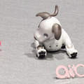【フォトレポート】ソニーの新型「aibo(アイボ)」の写真をたっぷり見せます!