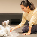 【フォトレポート】ソニーの新型「aibo(アイボ)」の写真をたっぷり見せます!