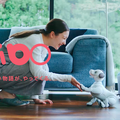 aibo購入には総額いくらかかる? ロボスタ編集部がaibo予約に参戦!無事買うことが出来たのか?