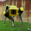 ソフトバンクから販売？ 進化したボストン・ダイナミクスのロボット「SpotMini」の動画が公開！