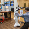 【医療ICT×ロボット】北里大学がロボホンとテレプレゼンスロボットを使った在宅向け健康啓発システムの実証実験を開始！シャンティが共同開発