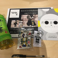 ロボットオーナー80人が大集合した「Communication Robot Owners MTG」に潜入! #CROMTG
