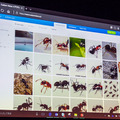 【ロボット×クラウドAI】Microsoft AzureとPepper最新導入事例「MicrosoftコグニティブサービスはAI機械学習をカスタマイズ可能」