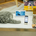 【iREX2017】「2017国際ロボット展」フォトレポート！ by ロボスタカメラ部