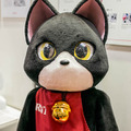 【iREX2017】「2017国際ロボット展」フォトレポート！ by ロボスタカメラ部