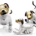 ソニーの金色「aibo」オークション終了、価格が4倍の150万円、総額1,000万円を超える