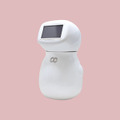 羽田空港のロボット公開実験、今年も実施　参加事業者7社が決定