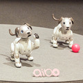 ソニーの「aibo（アイボ）」は明日1月11日発売！ aiboのスペックや価格、最新情報を改めてご紹介