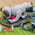 【超速報】話題の犬型ロボット「aibo」開封の儀！