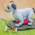【超速報】話題の犬型ロボット「aibo」開封の儀！