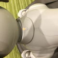新型「aibo(アイボ)」が届いてまずやること、初期設定方法とは?