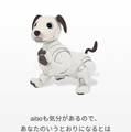 新型「aibo(アイボ)」が届いてまずやること、初期設定方法とは?