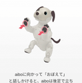 新型「aibo(アイボ)」が届いてまずやること、初期設定方法とは?