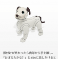 新型「aibo(アイボ)」が届いてまずやること、初期設定方法とは?
