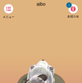 新型「aibo(アイボ)」が届いてまずやること、初期設定方法とは?